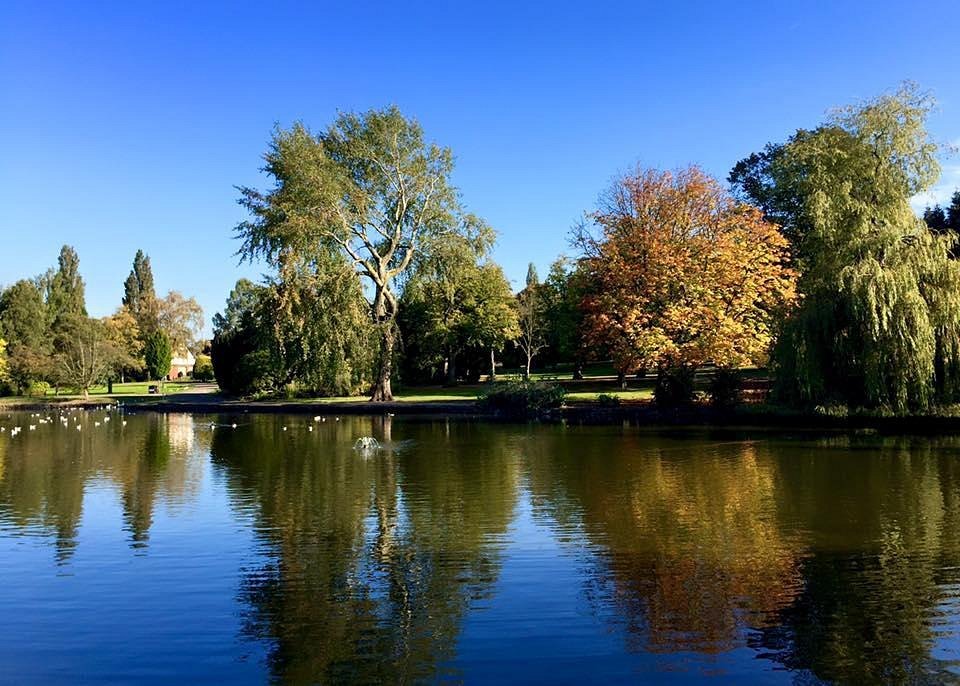 🏞️ 롱턴 파크(Longton Park)